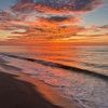 avery_pont